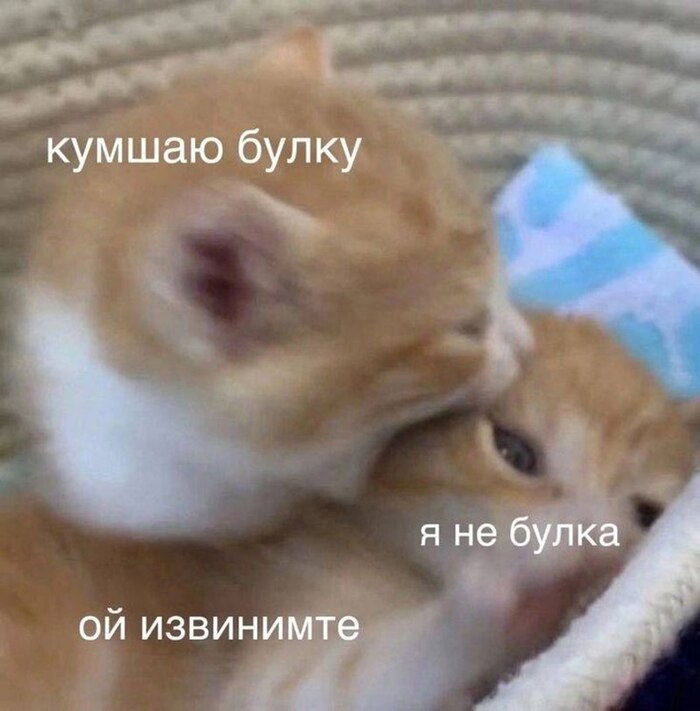   , ,   , , , 