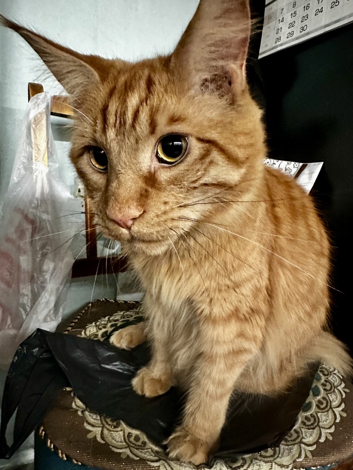 ����-���