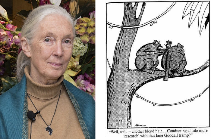   .     The Far Side: ", ,   .    ""     ?".