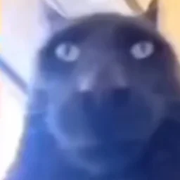abmyshs