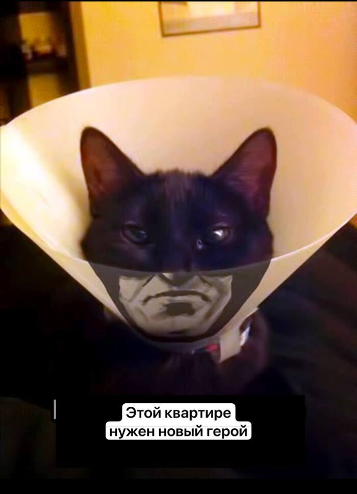 � � ����� ������