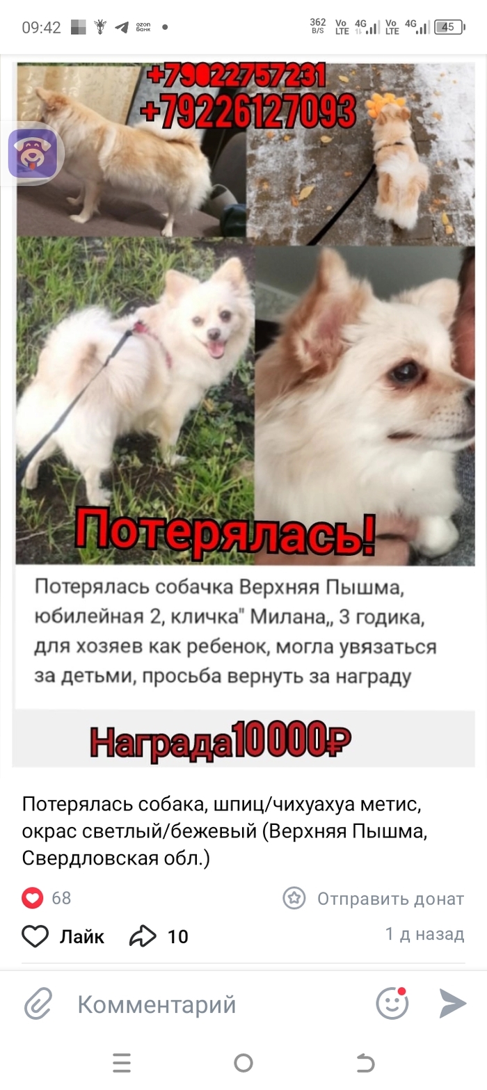 , / ,  / ( ,  .) , ,  , ,  , , ,  , , , , 
