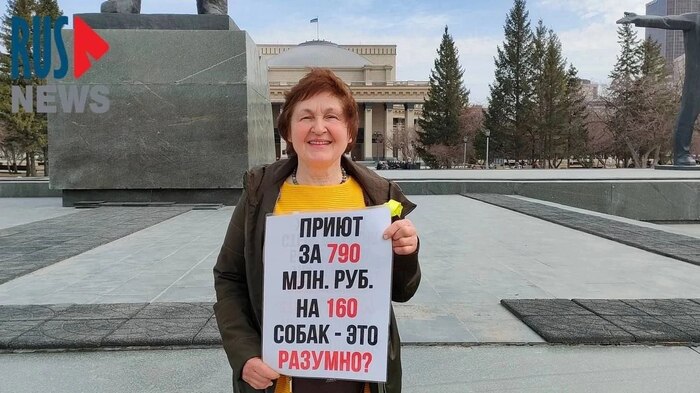 Осторожно, мимимишки у бюджетного корыта Новосибирска