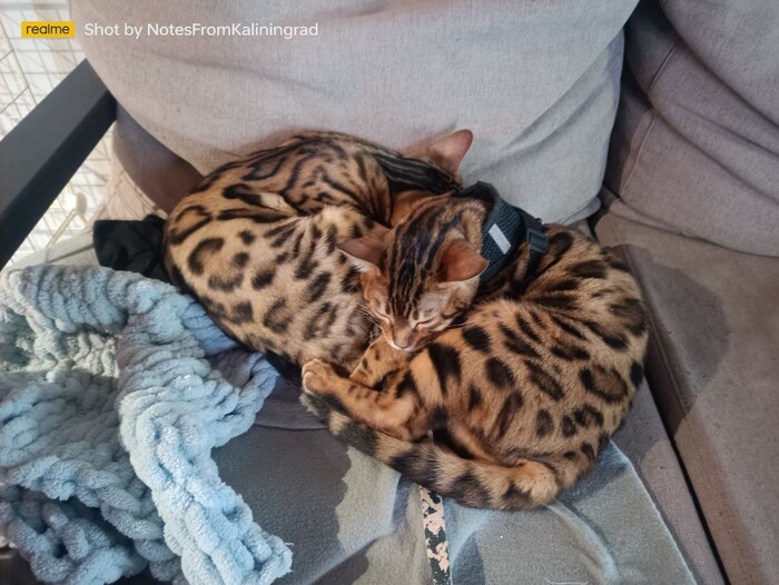 Тёплый сюрприз у замка Тапиау