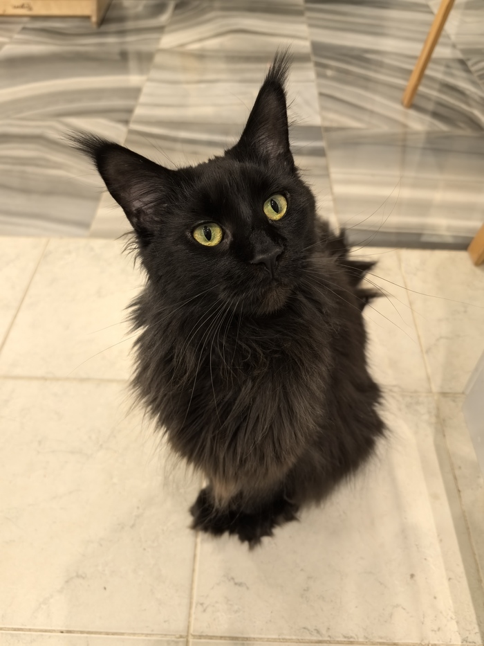 ��� ��� � ����?