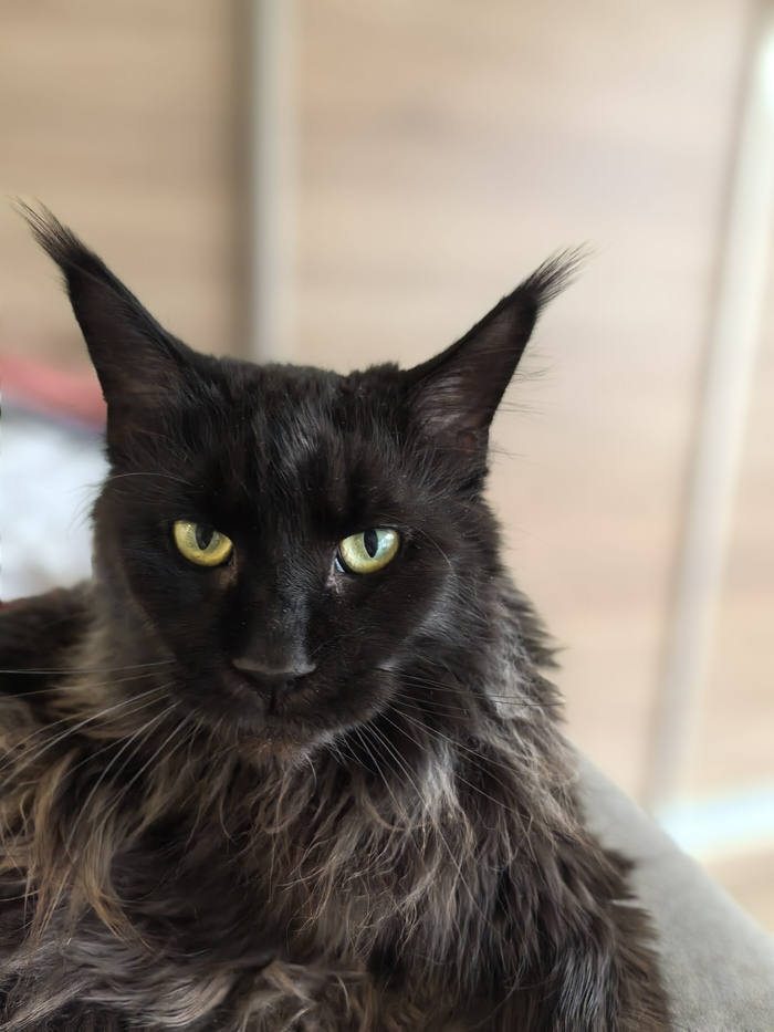 ��� ������, ��������? ��� ���?