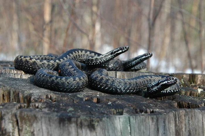  ,       ?  ...   ,  ?  !