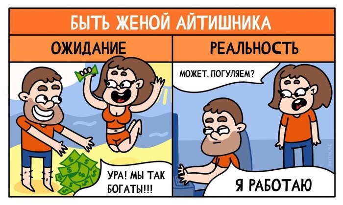 ���� ����� ���������