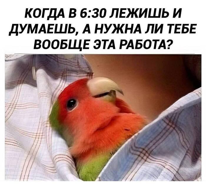   7-30  ,  