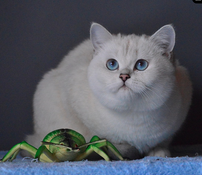 Сама не знаю, что поймала