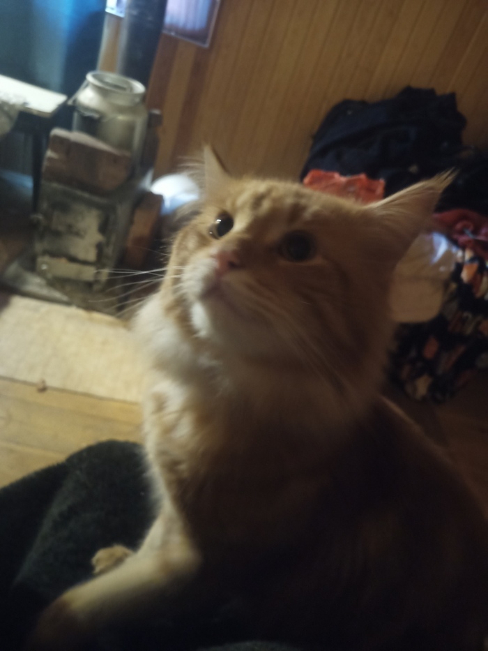    -,   , , 