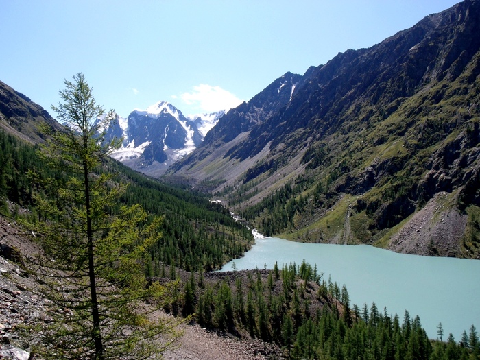 С высоты птичьего полёта