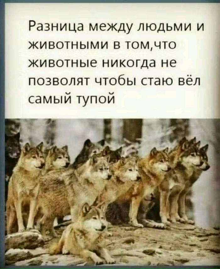       , ,  , , , , , 