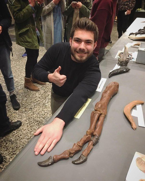 А ведь на лапе были ещё и мышцы!