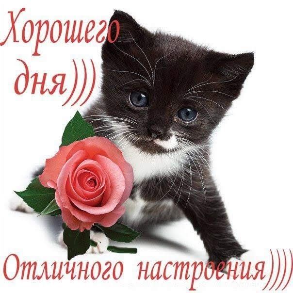    , , , , , , , 