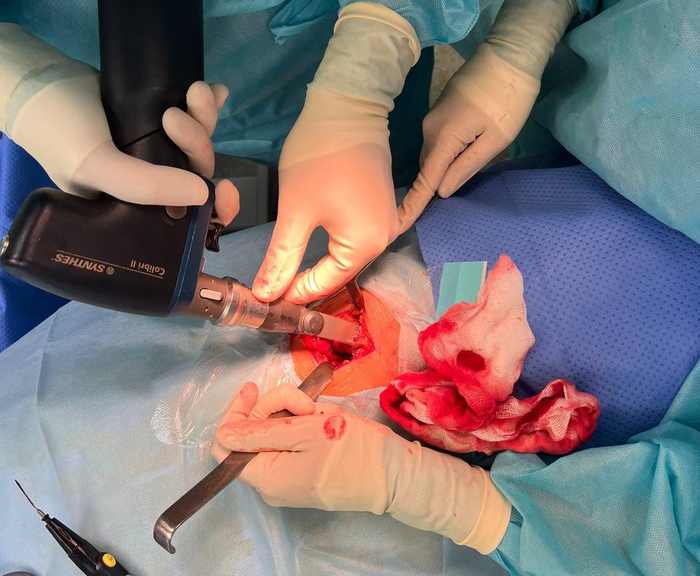 ���� ������ �����������������