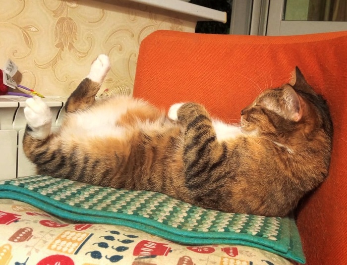 ��! � �����. :)