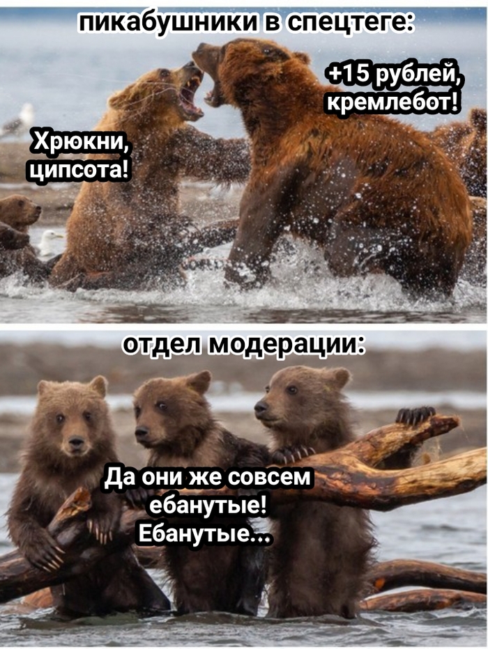        , , , , , , ,   , ,   