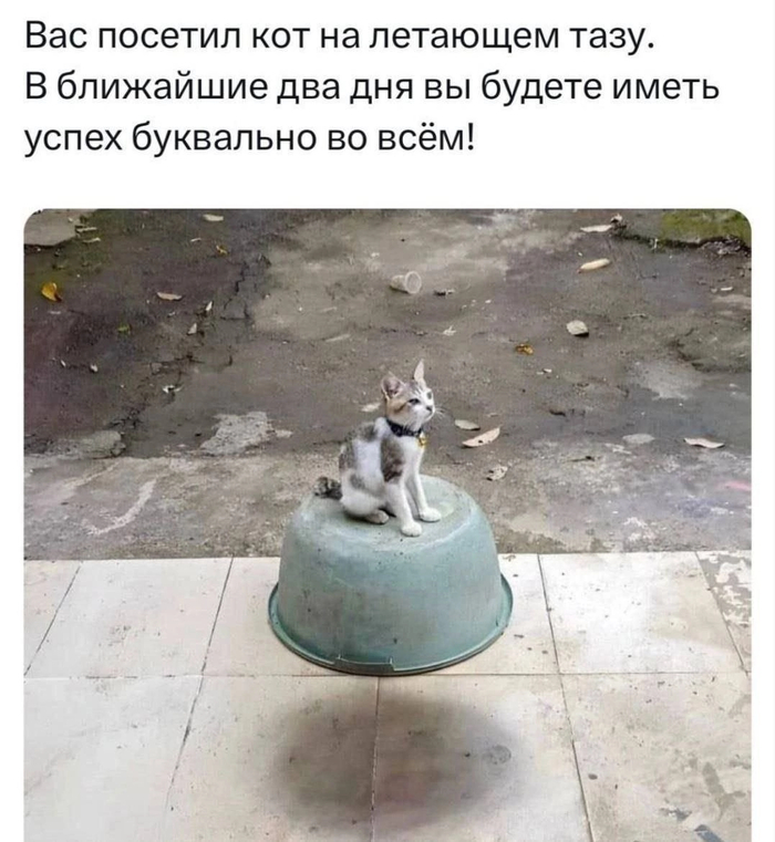     , ,  , ,   , ,  ,   