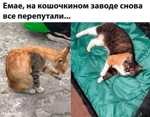 Перепутали