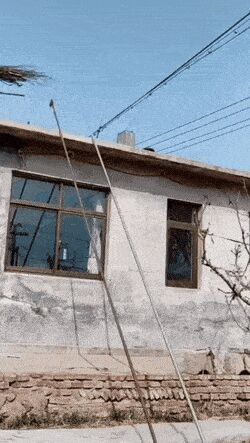 Гифки дня Гифка, Ассорти, Разное, Длиннопост
