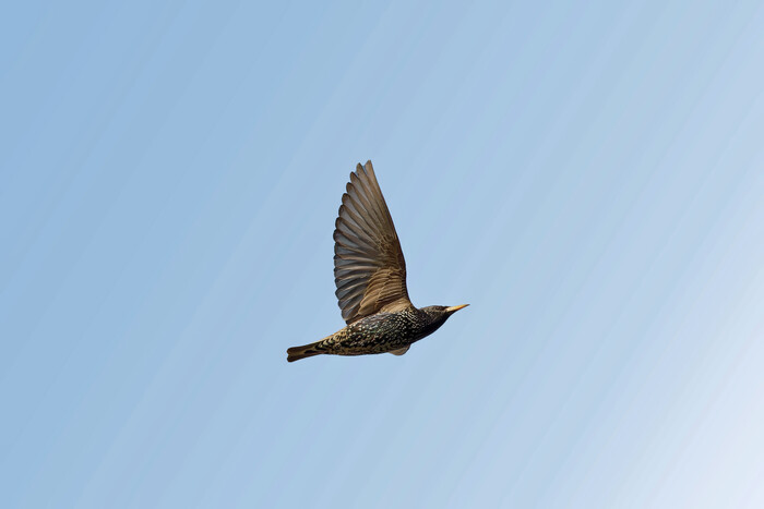    ,  , ,  , , , , ,  , 