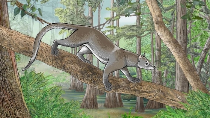 Примерно так выглядел