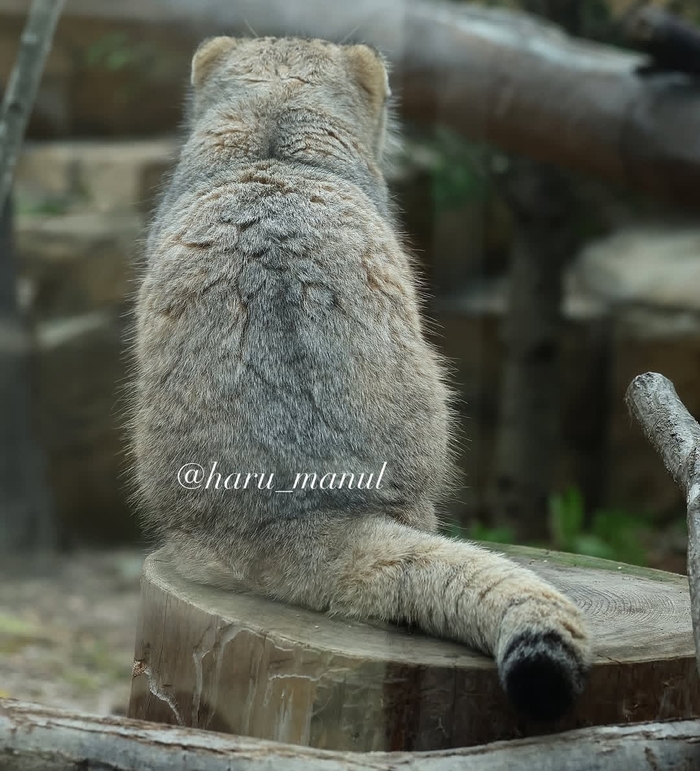 ,    ,  ,  ,  ,  , 