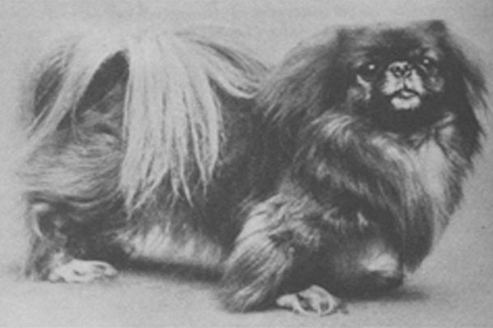 23.     12 ,    .     .