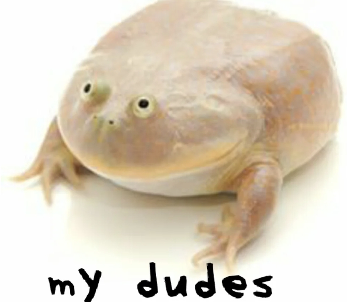 Мои чюваки.