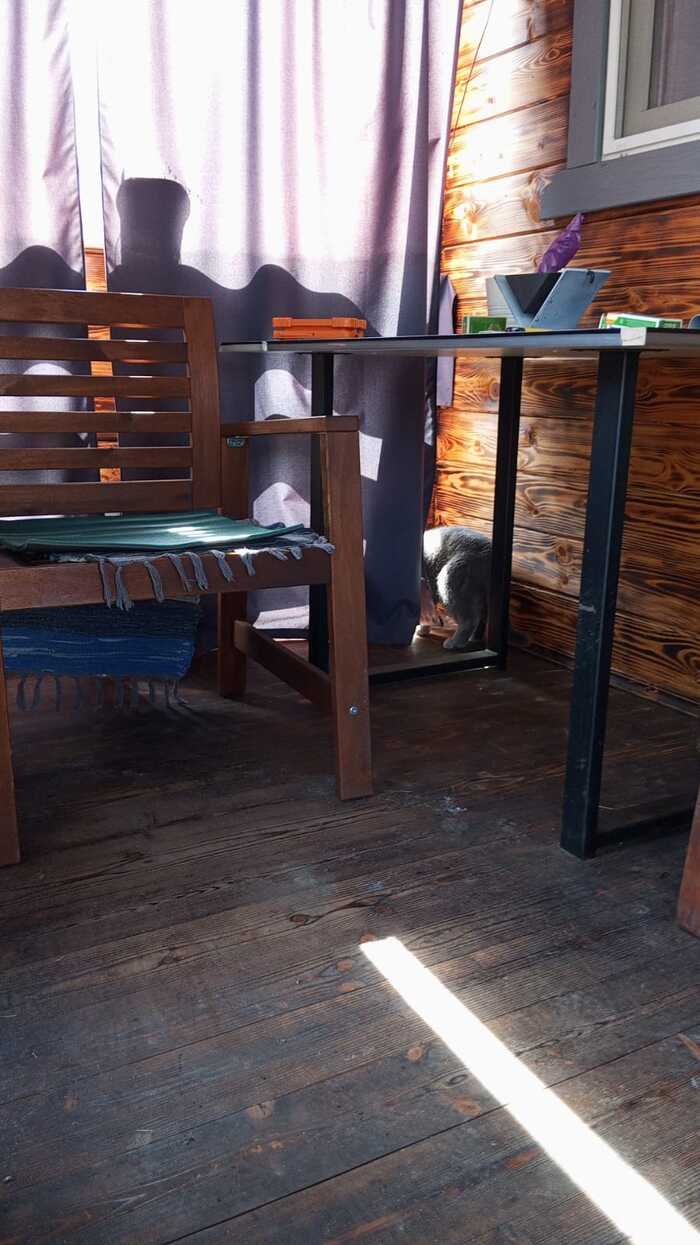 Просто фото