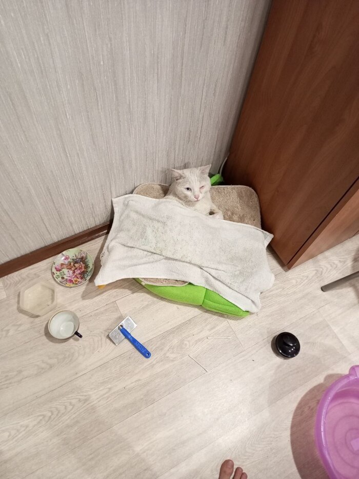 �������)