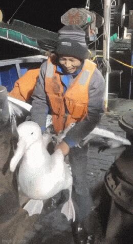    , , , 