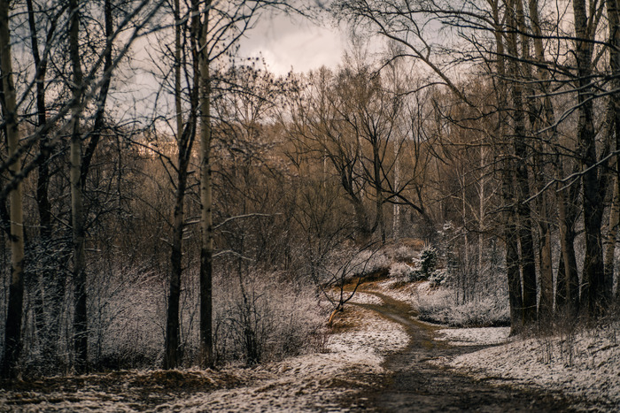    ., ..   Sony A7m3  Viltrox 85/1.8 II