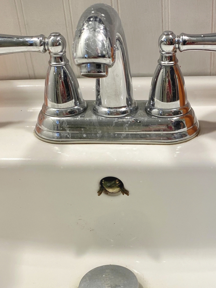 ,   ?  ! It Is Wednesday My Dudes, , , , , , 