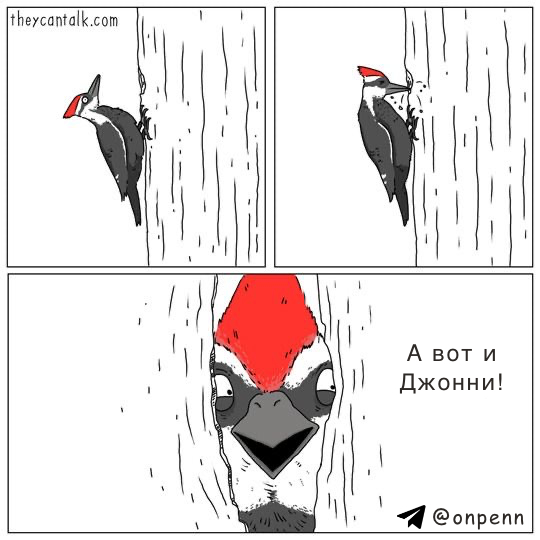     , , , Theycantalk, , ,    