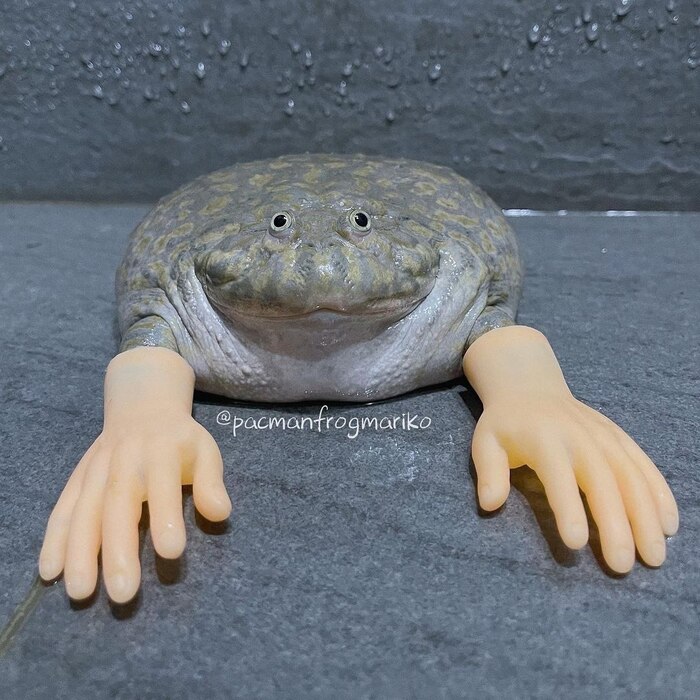 У нас длинные руки