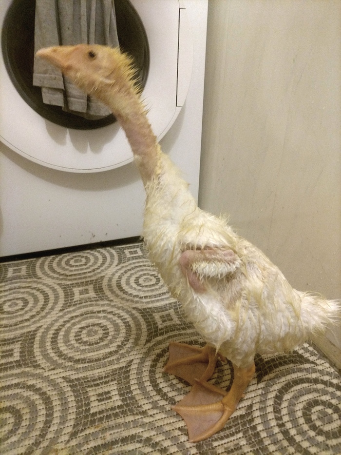 ������ �� � ������ � � ��������, ��� ��� �� ��������� �� ����� �� ����� ������. 