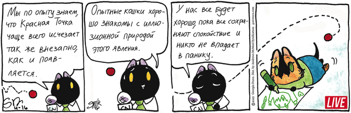 Котейкины Новости от 16.04.2025