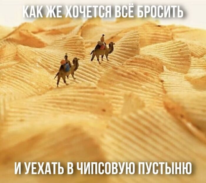 ������� ���� ����