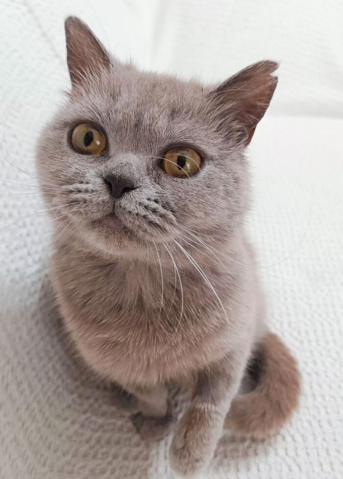 , !     !   ,  , ,  , ,  ,  , ,   ,  ,  , ,  , 