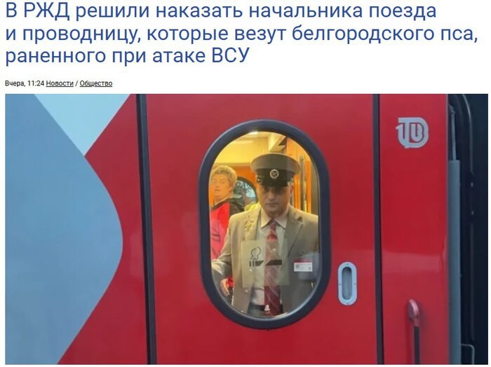      ? , , , , ,  ,  , Telegram (), 