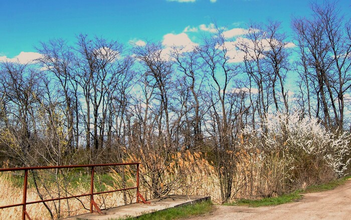 Просто старенький мостик