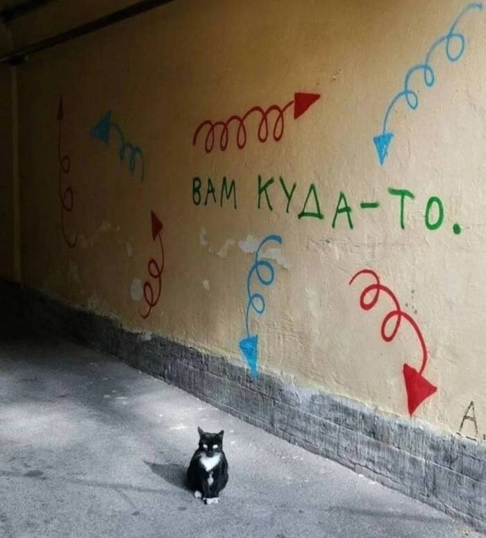    ,   , , 