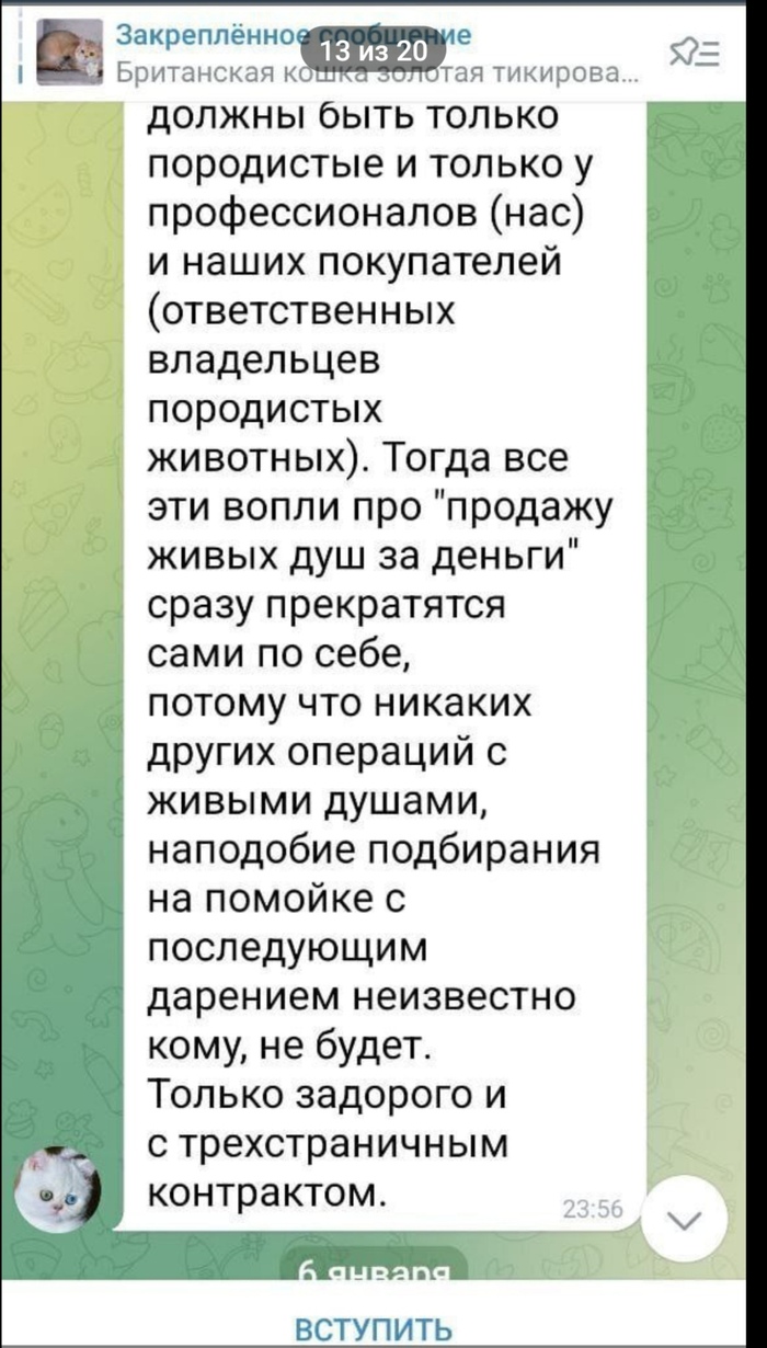     ,    , , , , , ,   , ,  