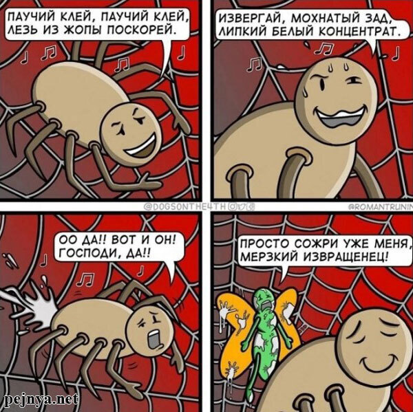 6fkzhpcj_lg.jpg