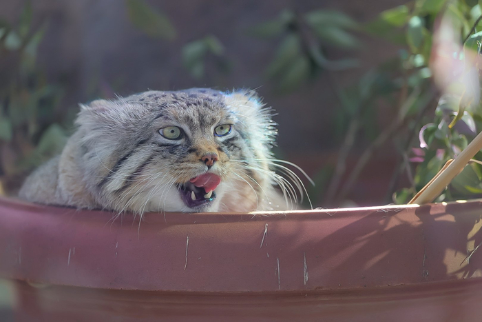 Подходи ближе, человек...