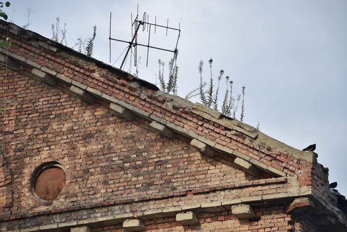 На крыше одного из домов квартала выросли сорняки. Фото: _puerrtto_ (LiveJournal)