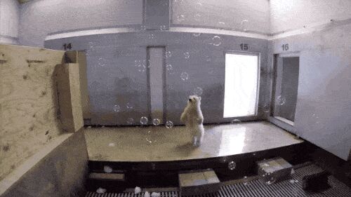     ,   , , , 