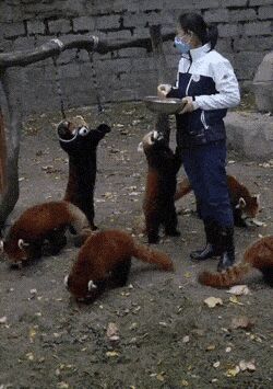     ,   , , , 